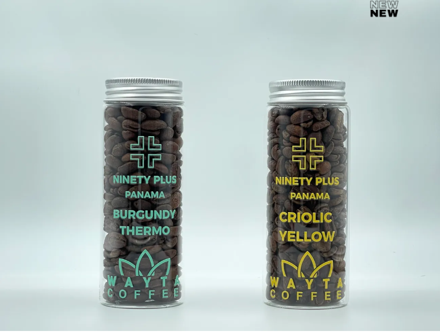 Ninety Plus Geisha Bundle